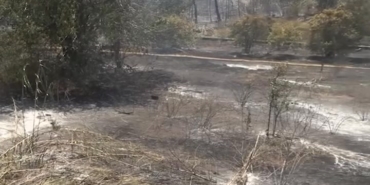 Orman Yangını Kontrol Altına Alındı, Teşekkürler!