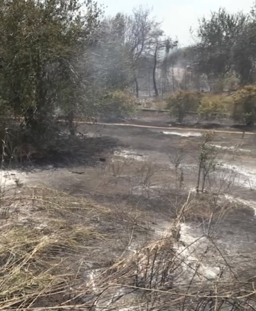 Orman Yangını Kontrol Altına Alındı, Teşekkürler!