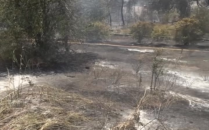 Orman Yangını Kontrol Altına Alındı, Teşekkürler!