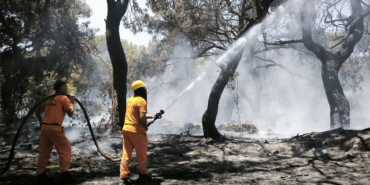 Yangın Kontrol Altında, Geçmiş Olsun Antalya