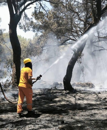 Yangın Kontrol Altında, Geçmiş Olsun Antalya