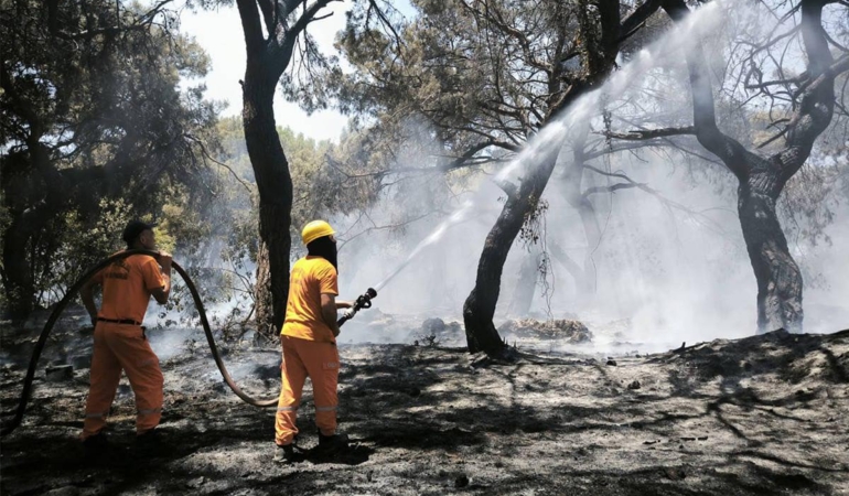 Yangın Kontrol Altında, Geçmiş Olsun Antalya