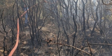 Üzümlü Mahallesi’nde Yangın: Geçmiş Olsun Antalya!
