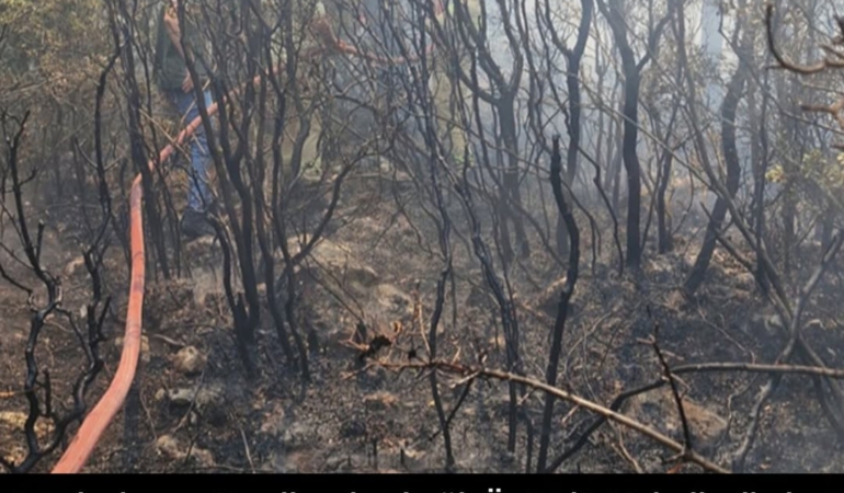 Üzümlü Mahallesi’nde Yangın: Geçmiş Olsun Antalya!