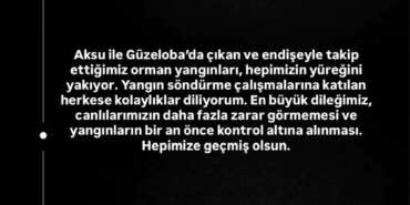 Yangınlar Hepimizin Yüreğini Yakıyor