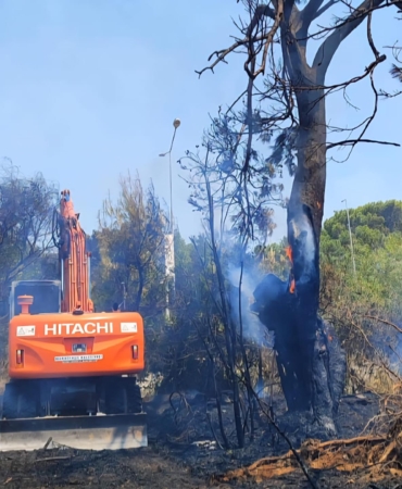 Antalya’da Orman Yangını Kontrol Altına Alındı
