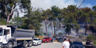 Manavgat’ta Orman Yangını: Ekipler Seferber Oldu!