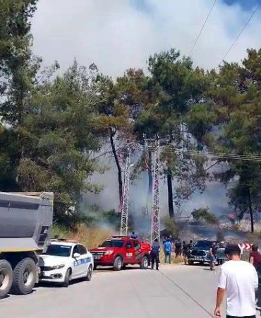 Manavgat’ta Orman Yangını: Ekipler Seferber Oldu!