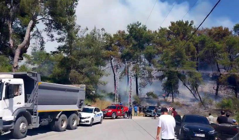 Manavgat’ta Orman Yangını: Ekipler Seferber Oldu!