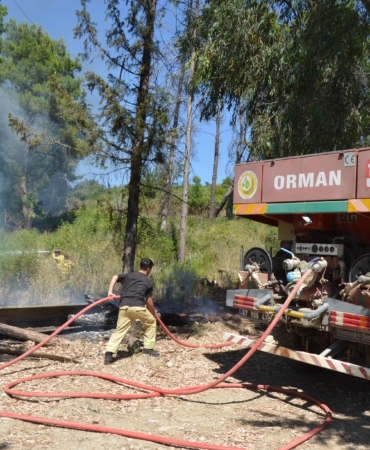 Serik’te Yangın Ormana Sıçramadan Söndürüldü