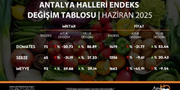 Antalya Hal Endeksi: Domateste Rekor Artış!