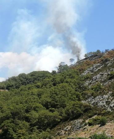 Antalya’da Orman Yangını Tekrar Başladı!