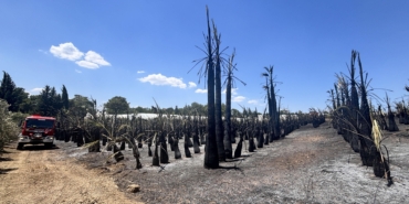 Antalya’da Yangın Büyümeden Kontrol Altına Alındı