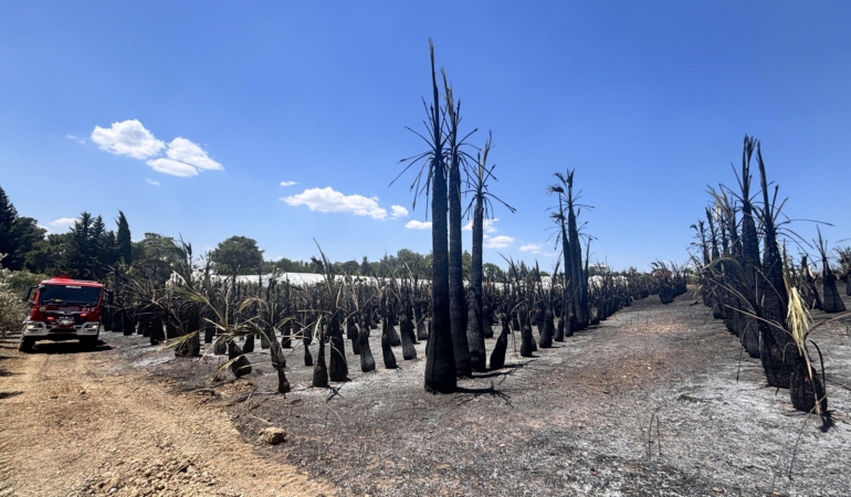 Antalya’da Yangın Büyümeden Kontrol Altına Alındı