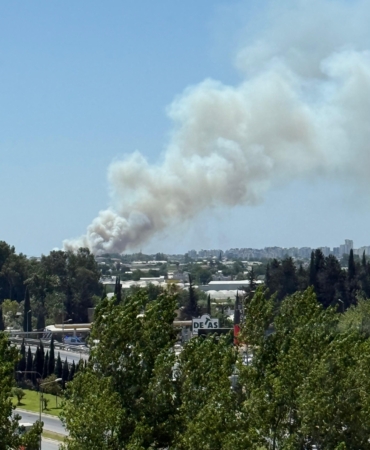 Antalya’da Orman Yangını: Ekipler Müdahalede!