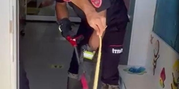 Ayakkabılıktaki Yılan Doğaya Salındı!