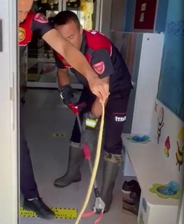 Ayakkabılıktaki Yılan Doğaya Salındı!