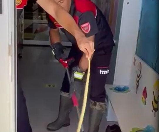 Ayakkabılıktaki Yılan Doğaya Salındı!