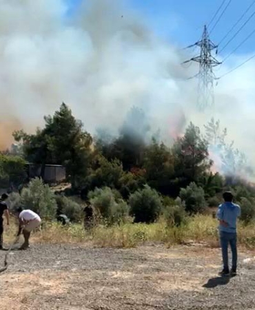 Antalya’da Çalılık Yangını Ormana Sıçradı!