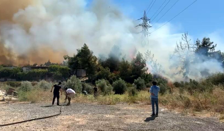 Antalya’da Çalılık Yangını Ormana Sıçradı!