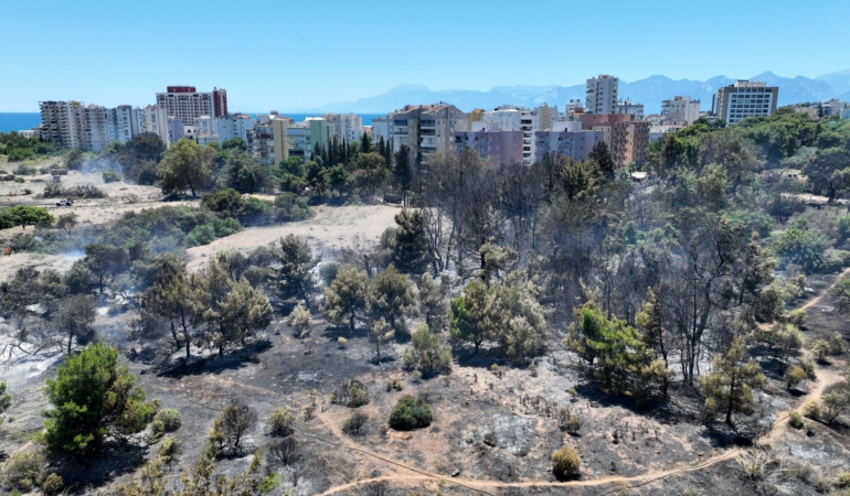 Antalya’da Orman Yangınına Hızlı Müdahale!