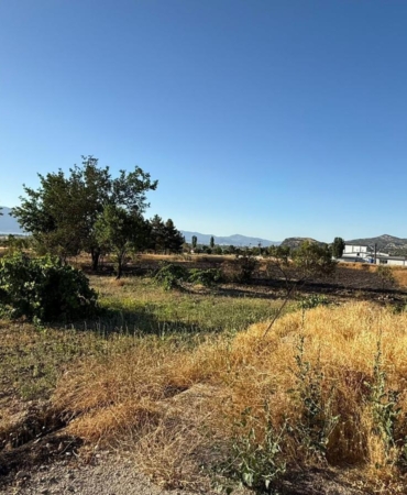 Burdur’da Yangın: 10 Dönüm Alan Kül Oldu!