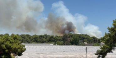 Antalya’da Yeniden Orman Yangını: Ekipler Seferber