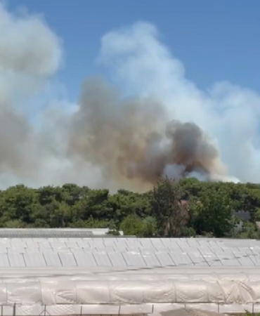 Antalya’da Yeniden Orman Yangını: Ekipler Seferber