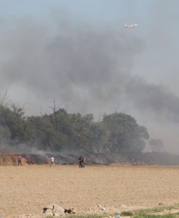Antalya’da Yangın: Mısır Tarlasına Ulaşmadan Söndürüldü