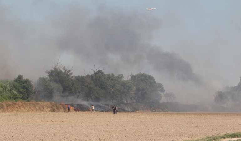 Antalya’da Yangın, Mısır Tarlasına Ulaşmadan Söndürüldü