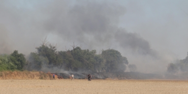 Antalya’da Yangın, Mısır Tarlasını Kılpayı Kurtardı!