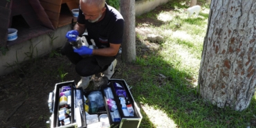 Kepez’den Sokak Hayvanlarına Yaz Desteği