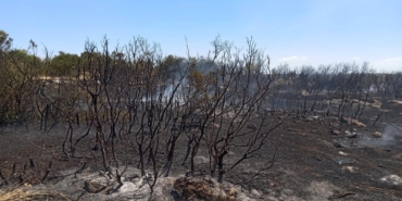 Eğirdir’de Orman Yangını Kısa Sürede Söndürüldü!