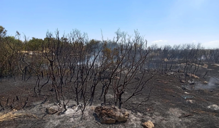 Eğirdir’de Orman Yangını Kısa Sürede Söndürüldü!