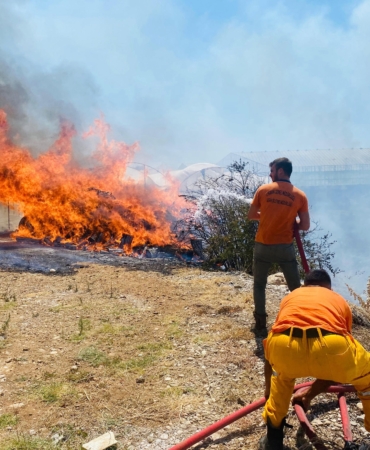 Serik’te Çalılık Yangını Seraya Sıçradı!