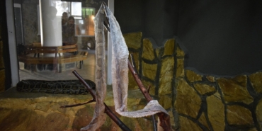 Yılan Derisi İle Şifa Arayışı: İlginç Talepler!