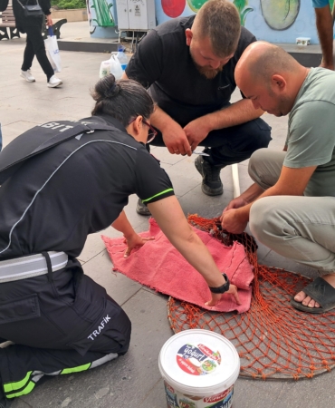 Ölen Yavrusuyla Kuyruğuna Yapışan Kedi Kurtarıldı