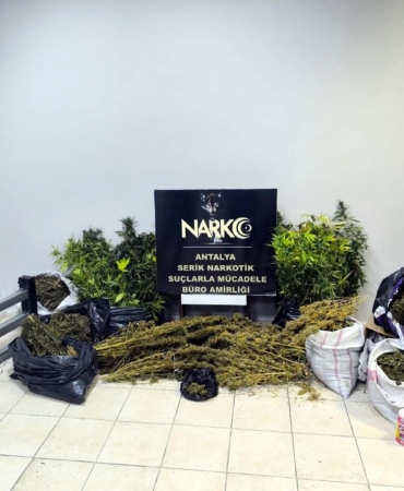 Serik’te Uyuşturucu Operasyonu: 54 Kök Kenevir Ele Geçirildi
