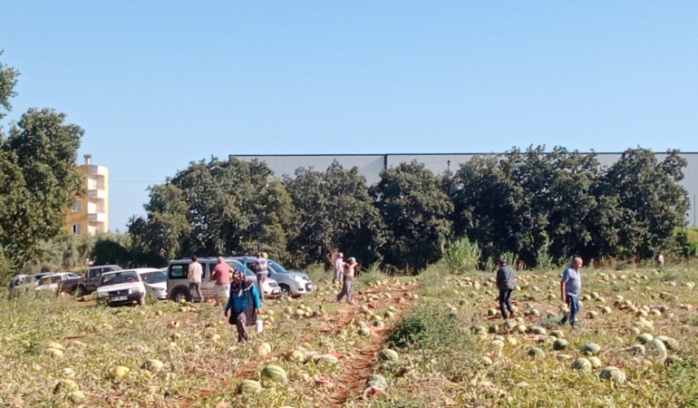 120 Ton Karpuz, İhtiyaç Sahiplerine Hayır Olarak Dağıtıldı