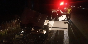 Domuz Sürüsüne Çarpan Sürücü Yaralandı!