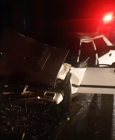 Domuz Sürüsüne Çarpan Sürücü Yaralandı!