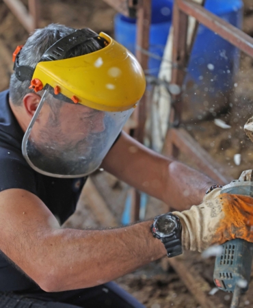 Kırsaldaki Besicilere Ücretsiz Veteriner Desteği