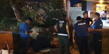 Devlenen Ağaç 1 Kadını Yaraladı, Panik Hâkim!