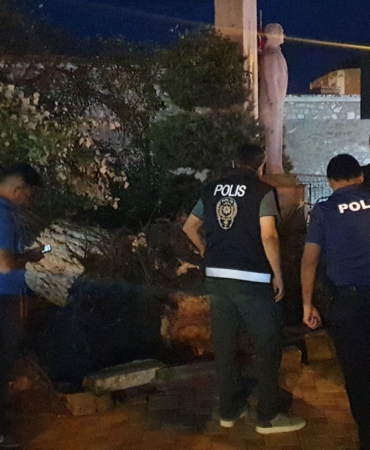Devlenen Ağaç 1 Kadını Yaraladı, Panik Hâkim!
