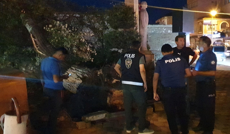 Devlenen Ağaç 1 Kadını Yaraladı, Panik Hâkim!