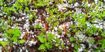 Temmuzda Burdur’da Doluyla Tarım Zarar Gördü