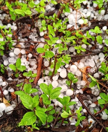 Temmuzda Burdur’da Doluyla Tarım Zarar Gördü