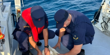 Çuvala Sıkışan Deniz Kaplumbağası Kurtarıldı!