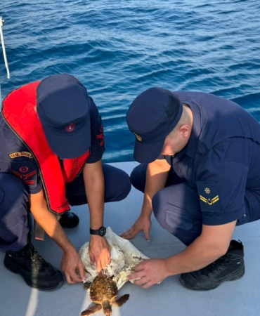 Çuvala Sıkışan Deniz Kaplumbağası Kurtarıldı!