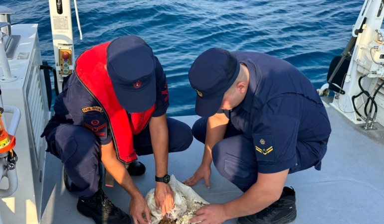 Çuvala Sıkışan Deniz Kaplumbağası Kurtarıldı!